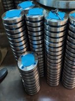 Hastelloy Flanges